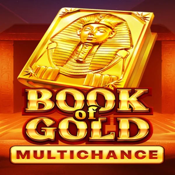 Book of Gold Multichance logo by Playson Betamo Casino